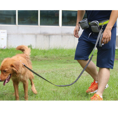 Hands Free Dog Leash Adjustable Retractable