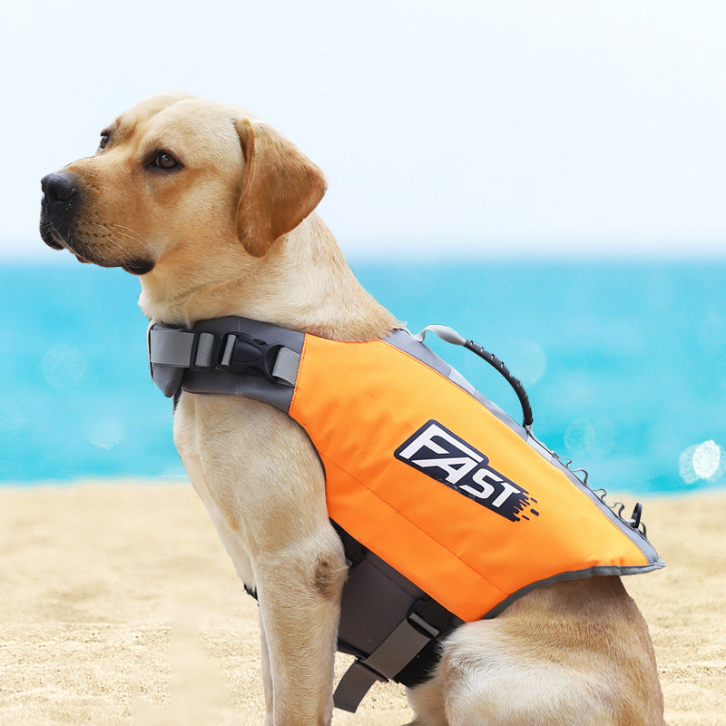 Reflective Dog Safety Vest with Harness for Water-Loving Pets!