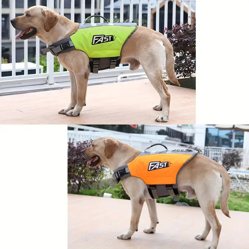 Reflective Dog Safety Vest with Harness for Water-Loving Pets!