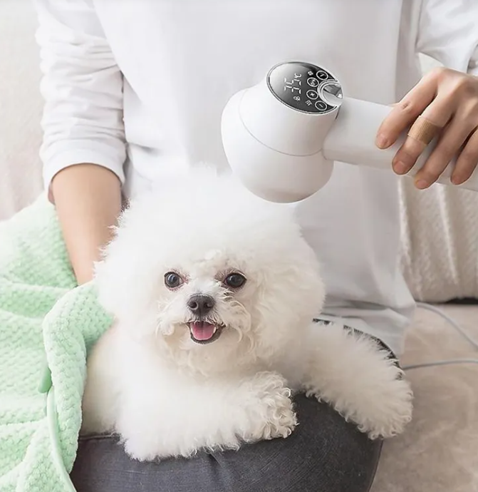 Mini Pet Hair Grooming Dryer – Tiny Dryer, Big Cuteness!